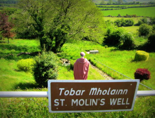 St Moling’s Well, Mullennakill. County Kilkenny c.7th century
