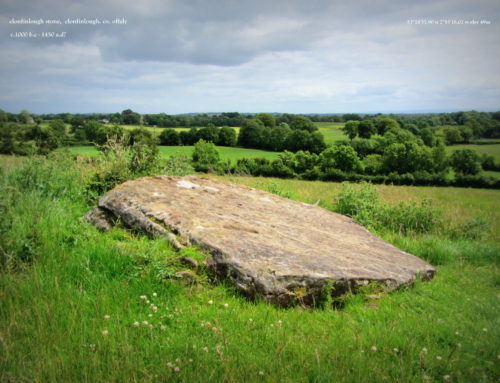 The Clonfinlough Stone, Clonfinlough. County Offaly c.1000BC-1400AD