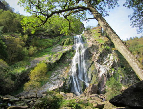 Powerscourt Waterfall, Powerscourt Estate. County Wicklow
