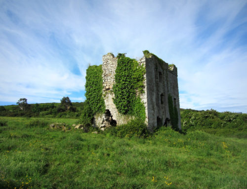 Puck’s Castle, Shankill. County Dublin 1500