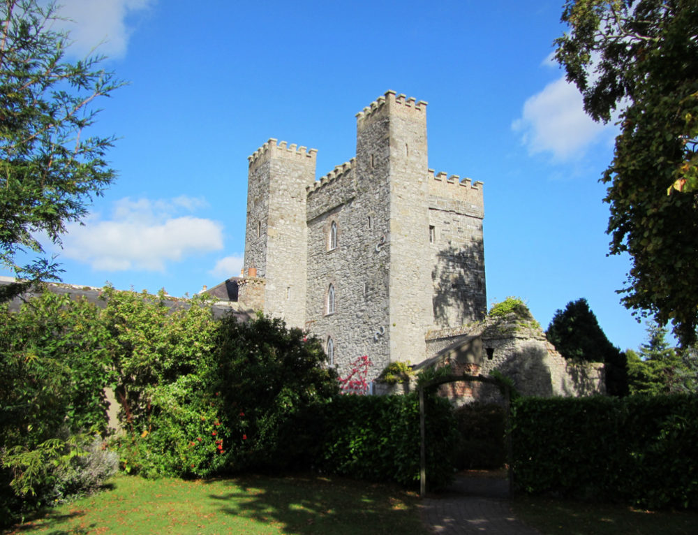 Castle — motte in Kildare