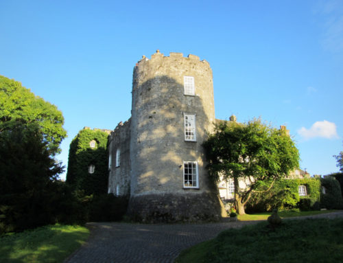 Leixlip Castle, Leixlip. County Kildare 1172