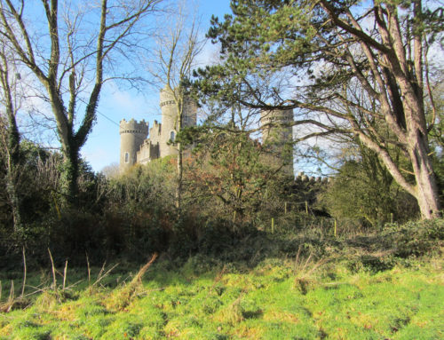 Clonyn Castle, Delvin. County Westmeath 1876