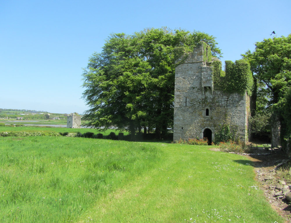 Embanked enclosure — Askinfarney (bantry By., Templeudigan Ed)