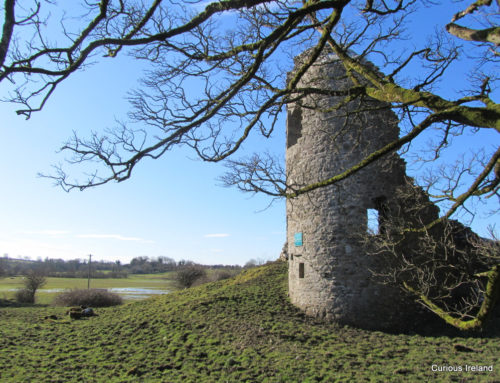 Ballylahan Castle, Straide, County Mayo 1239