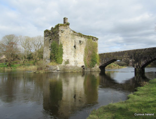 Carrigadrohid Castle, Killinardrish. County Cork 1465