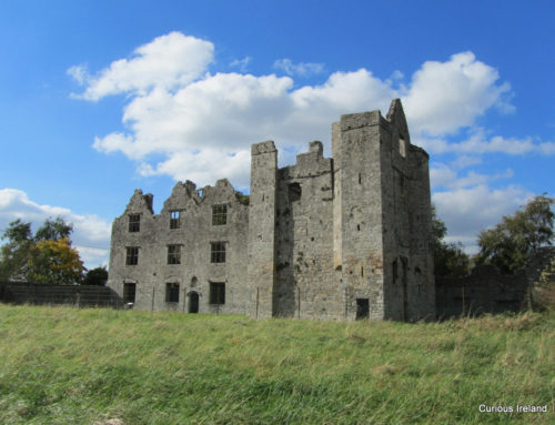 Athlumney Castle, Navan. County Meath c.12th-17th centuries