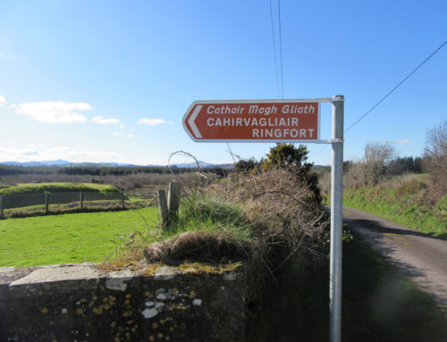 Cahirvagliar Ringfort, Coppeen. County Cork 1000 AD